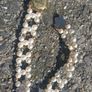 Vintage jewelry is sold individually for 5 to 10 euros Image 7