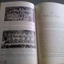 For love of town and village. AIB GAA club All-Ireland championships Ireland Image 5