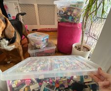 Lego Assortment