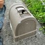 cat litter box Image 4