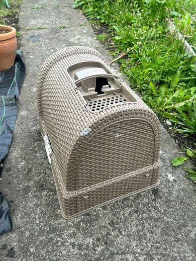 cat litter box