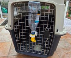 dog crate for transporting a dog