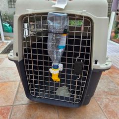 dog crate for transporting a dog