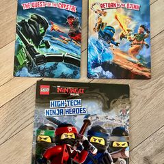Ninjago books