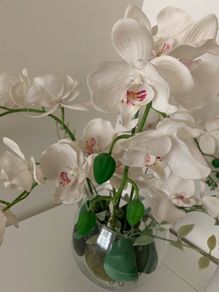 Orchid Vase