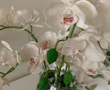Orchid Vase