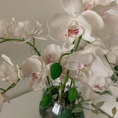 Orchid Vase