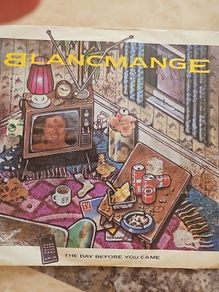 Blancmange 7" (Irish) - The Day Before You Came