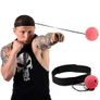 Speed Punch Ball Image 2