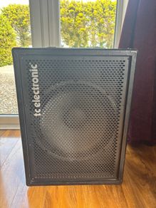 PRICE DROP TC Electronics BG250 Bass Combo