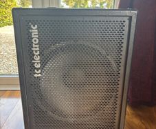 PRICE DROP TC Electronics BG250 Bass Combo