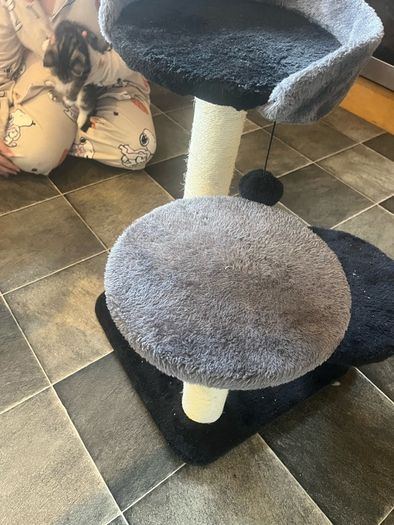 cat tree