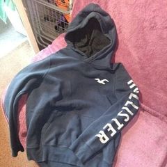 Hollister Hoodie