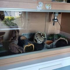 Reptile Vivarium