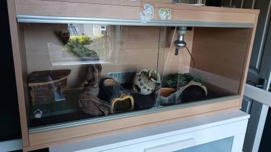 Reptile Vivarium