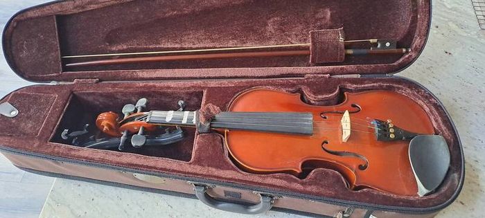 violin