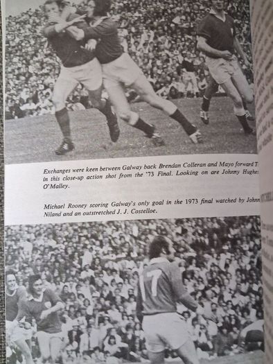 G.A.A. Centenary 1984 / Jack Mahon's 'Action Replay' / 1984