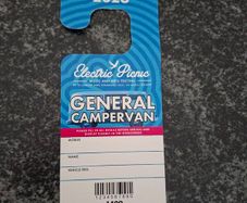 Electric Picnic General Campervan Pass