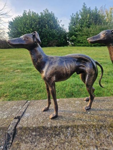 Pair of greyhounds
