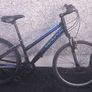 adult bike Image 2
