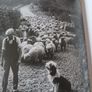 The Countryside Remembered  / Sadie Ward / 1993 Image 5