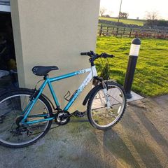 ladies bike