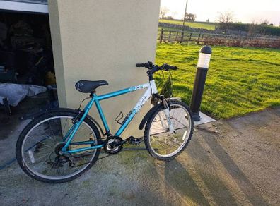 ladies bike