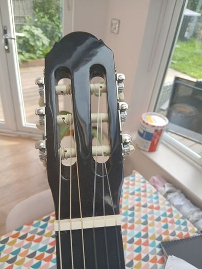 Guitar