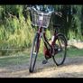 Bike Image 8