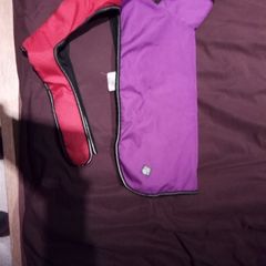 dog coat