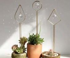 3pcs Prism Planting Stakes Flower Pot Decoration