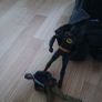 bat man stuff Image 2