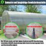 100% Virgin Materials (2M X 10M), Heavy Duty (150um/6mil) Polythene Clear Greenhouse Plastic Sheeting, 4Years Lifetime UV Resistant and 90% High Light Transmission Greenhouse Film Image 6