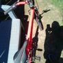 Team bike for kids Image 4