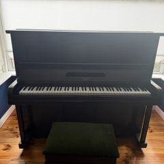 beautiful piano
