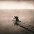 AboveTheThunderclouds