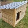 Dog Kennel Image 2