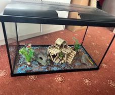 Aquarium