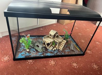 Aquarium