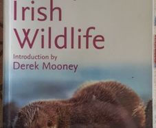 Complete Irish Wildlife