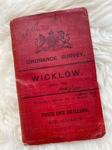Antique Ordnance Survey Map - Wicklow