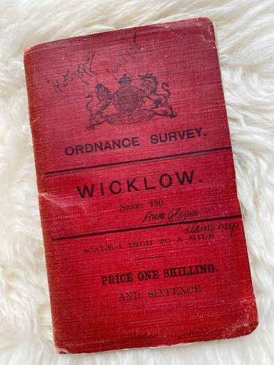 Antique Ordnance Survey Map - Wicklow