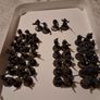 warhammer 40k Image 2