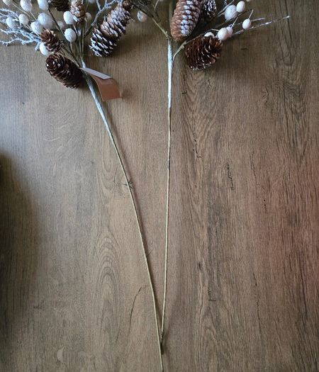 Christmas stems from The Range