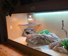 4 ft Habistat Reptile Vivarium and accessories