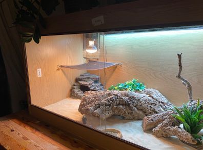 4 ft Habistat Reptile Vivarium and accessories