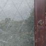 exterior wood door Image 3