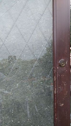 exterior wood door
