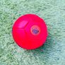 Mega Bloks Trolley and Phat Ball Free Image 2