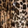 Marc Cain  print jacket Leopard print jacket N2 Image 2
